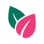 cropped-Sans-titre-1.png cropped-Sans-titre-1.png